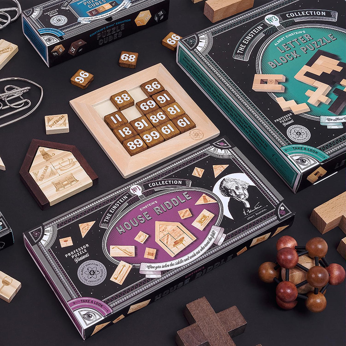 Einsteins Lock 3D Brain Teaser Puzzle