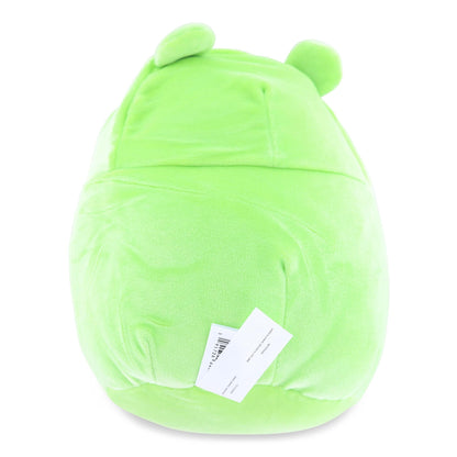 Winnie the Pook Squishmallow 8 Inch Peek-A-Pooh Plush | Frog