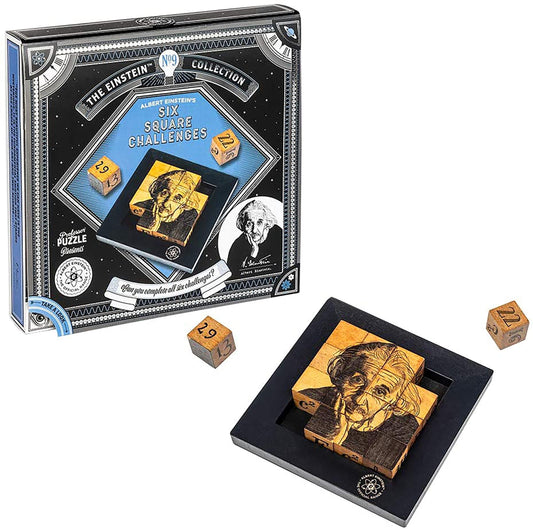 Einsteins Six Square Challenges 3D Brain Teaser Puzzle