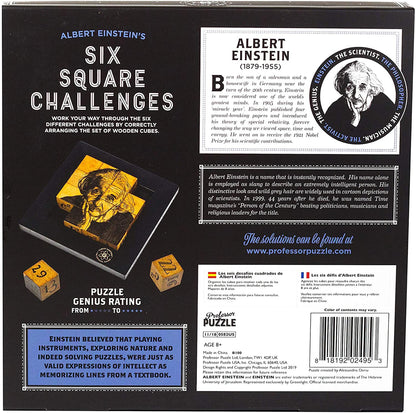 Einsteins Six Square Challenges 3D Brain Teaser Puzzle