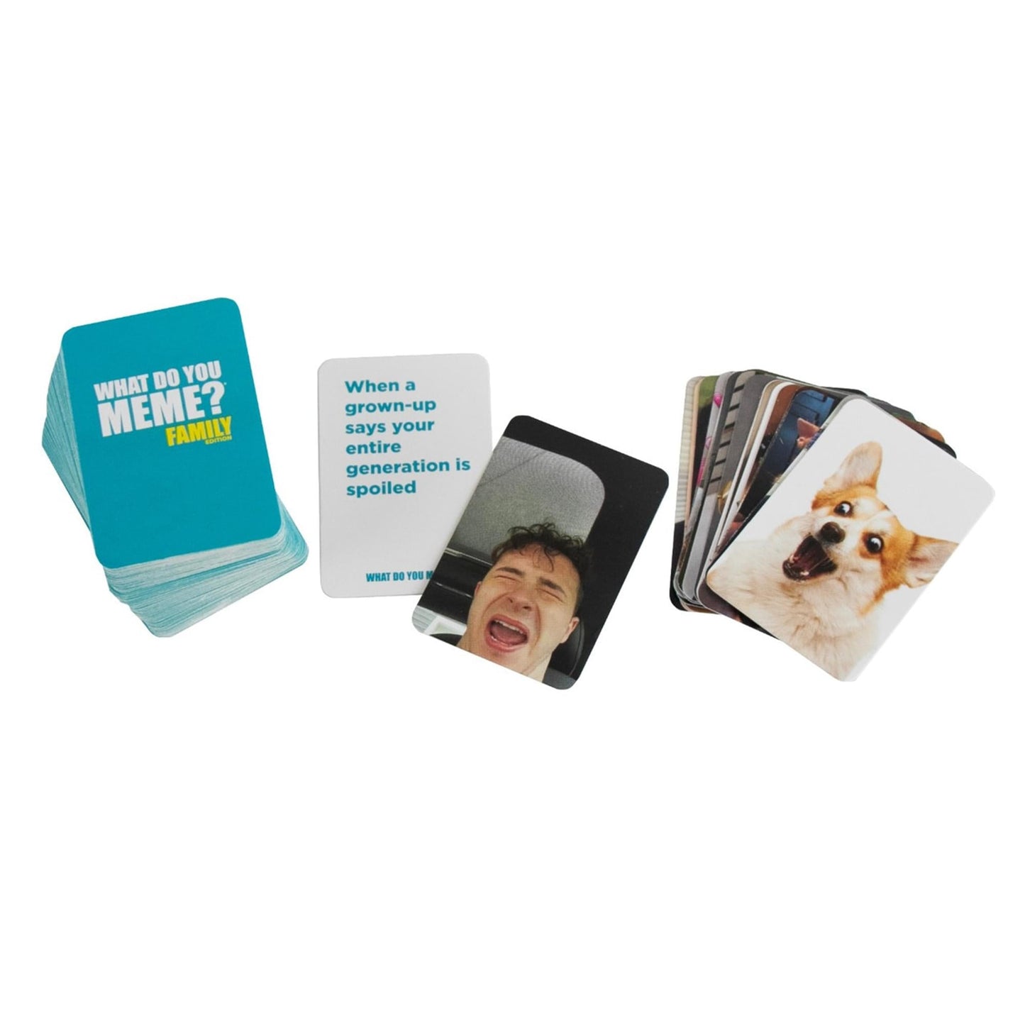 World's Smallest What Do You Meme? Mini Party Card Game (Family Version)