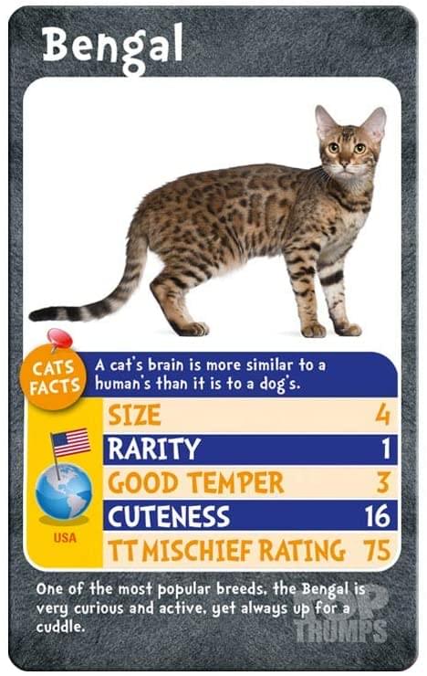 Cats Top Trumps Card Game